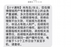 商水商水的要账公司在催收过程中的策略和技巧有哪些？